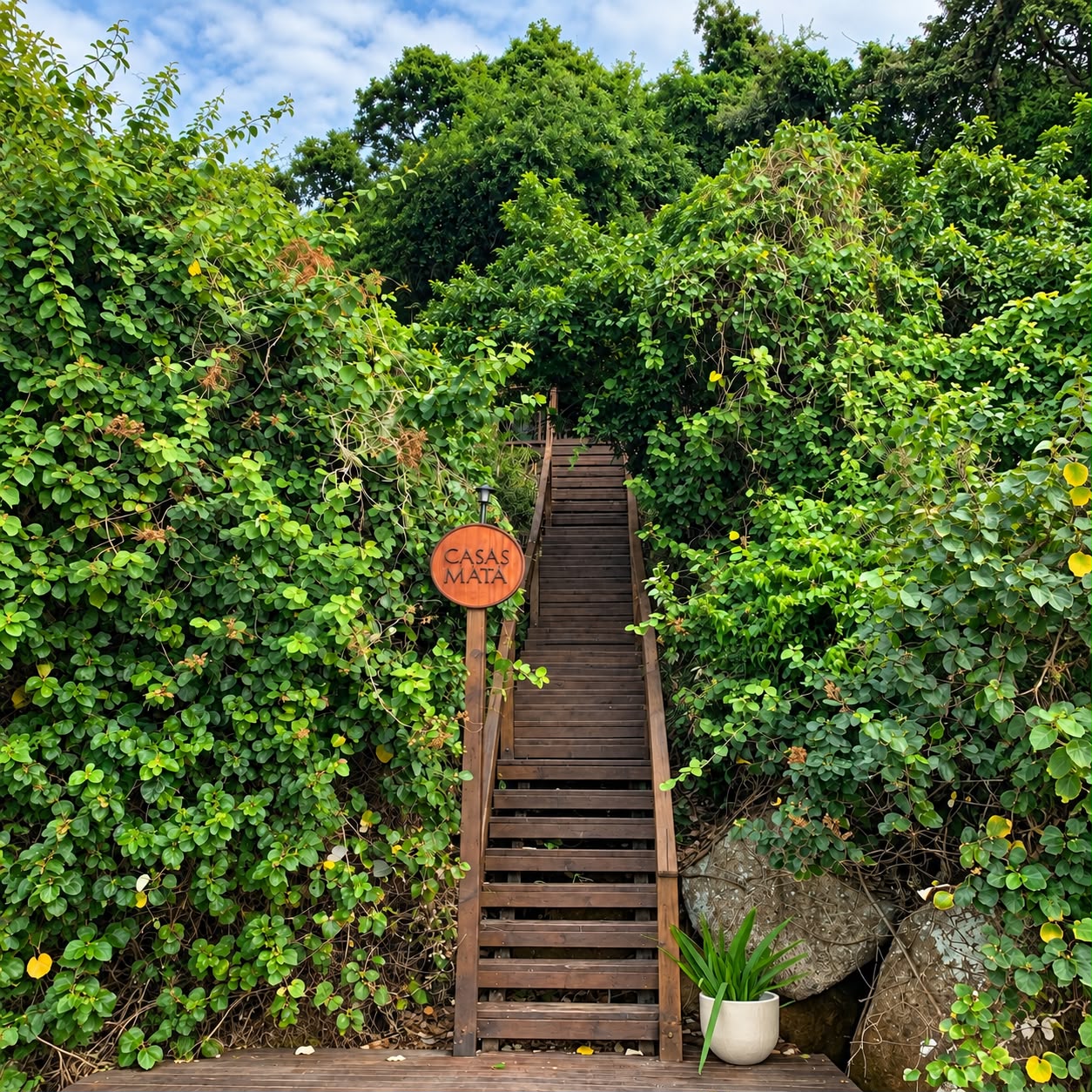 Escada de madeira entre a vegetação, com placa na entrada