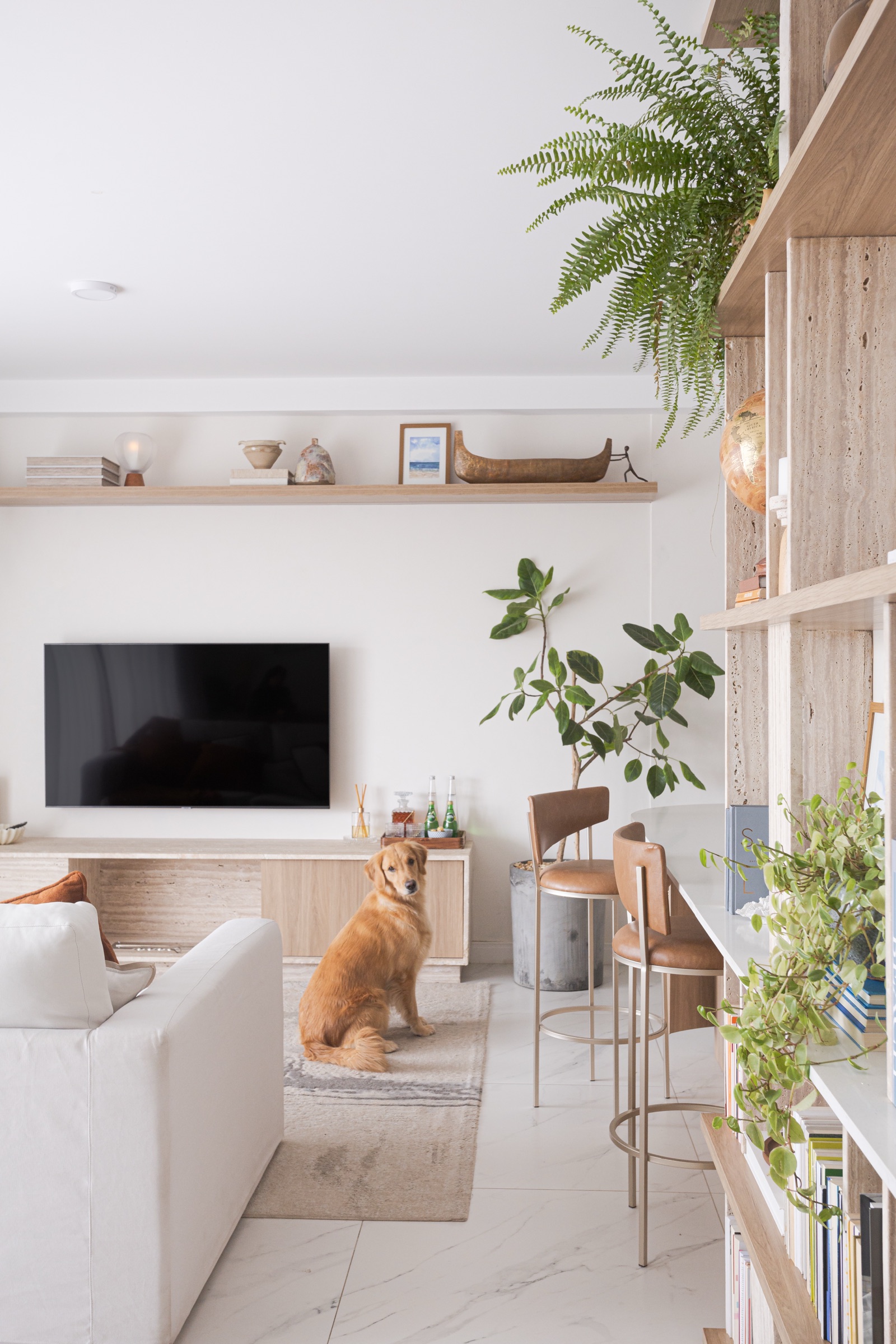 Sala com estante de madeira, plantas e um cachorro sentado sobre o tapete