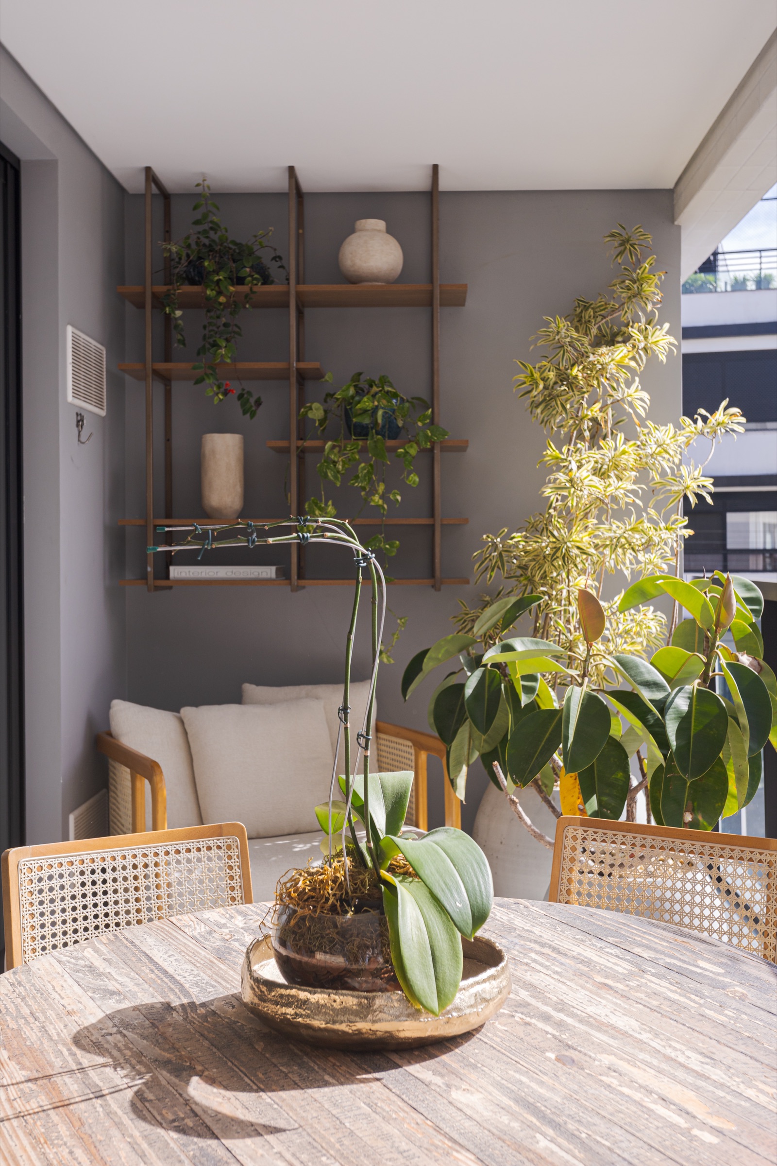 Varanda com mesa de madeira, orquídea e prateleira com plantas e vasos